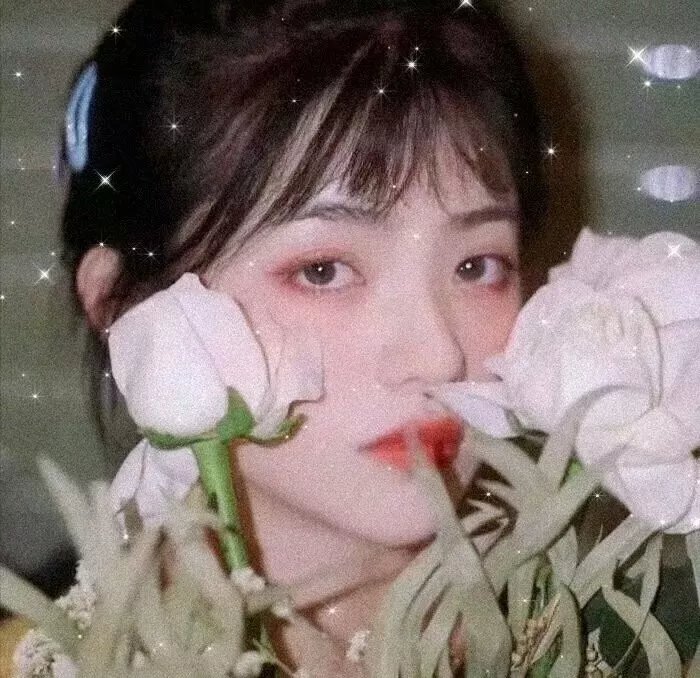 格桑花开的时候